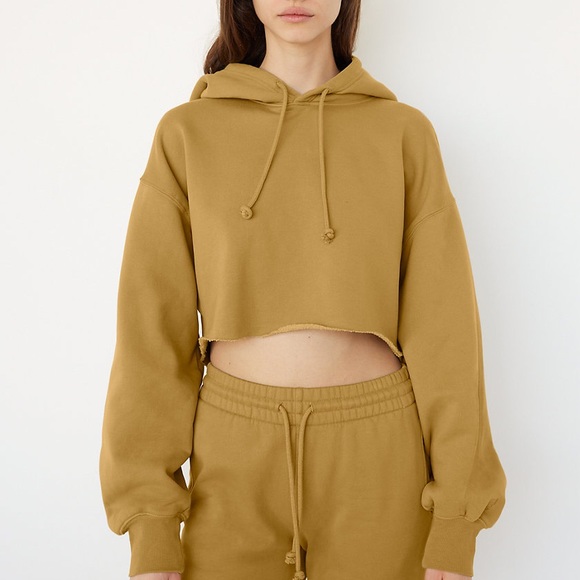 Aritzia Sweaters - Aritzia TNA cozy fleece boyfriend cropped hoodie
